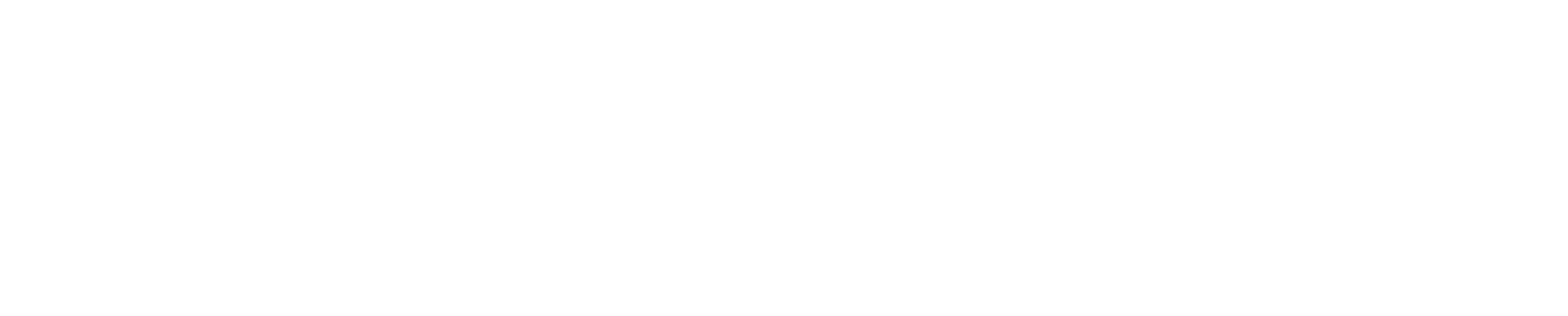 Ortega Construction